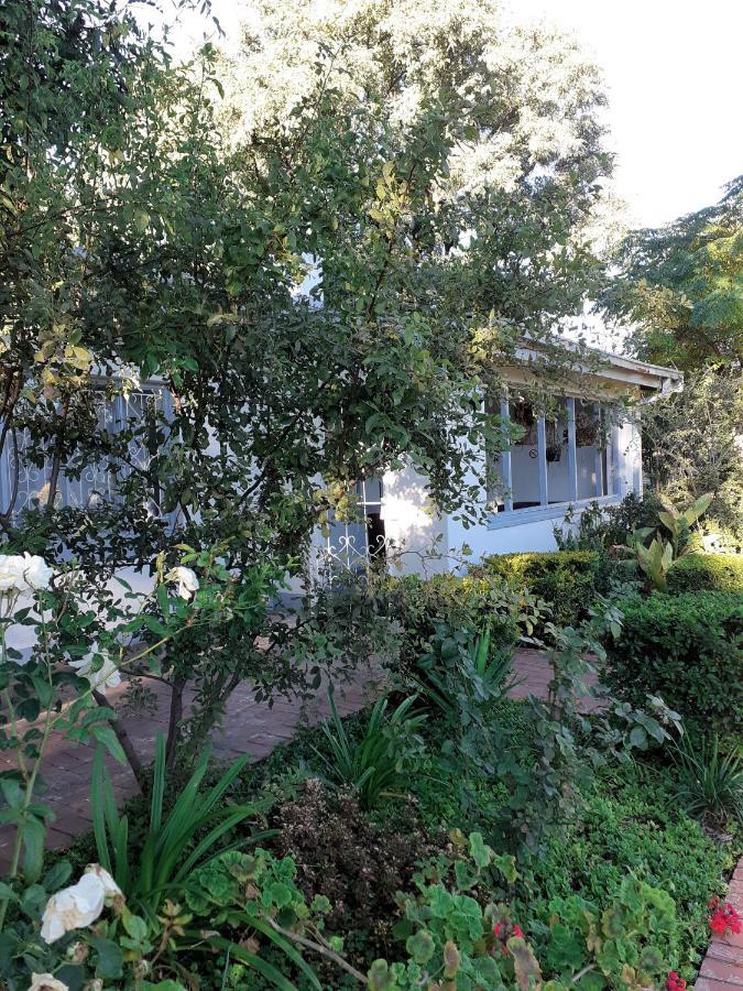 Driftwood Boutique Bed And Breakfast Lobatse Eksteriør bilde